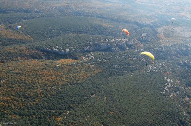 Combes Sud du Ventoux (84)