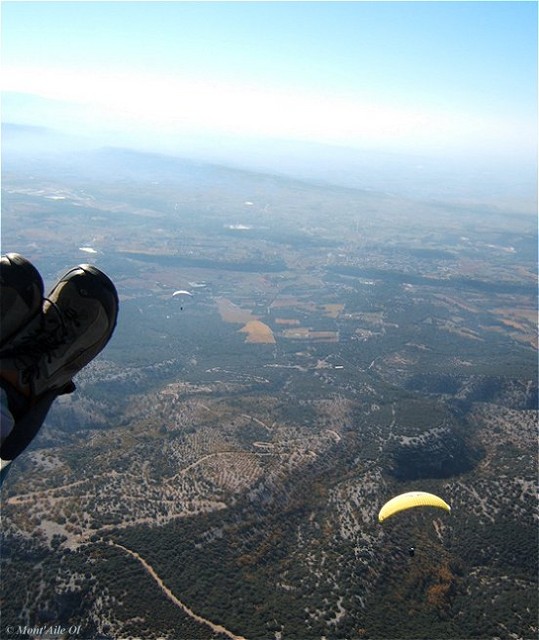 Sud Ventoux (84)