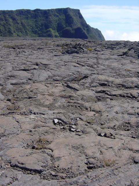 r&eacute;union.nov 2008.08.jpg