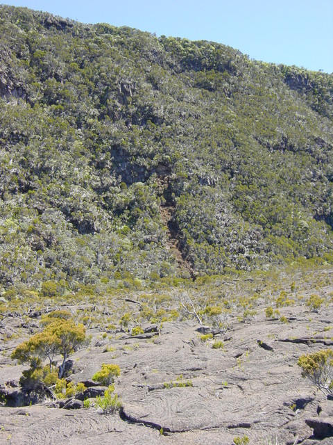 r&eacute;union.nov 2008.10.jpg