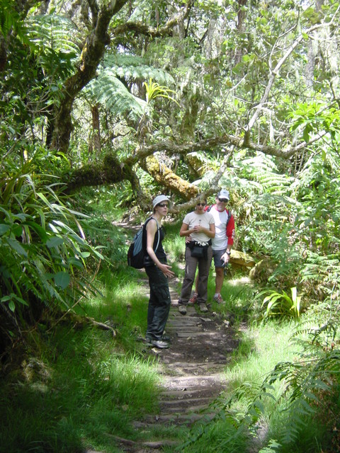 r&eacute;union.nov 2008.13.jpg