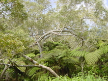 r&eacute;union.nov 2008.14.jpg