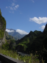 r&eacute;union.nov 2008.16.jpg