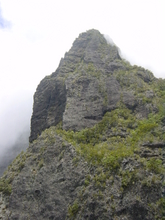 r&eacute;union.nov 2008.21.jpg