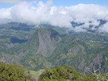 r&eacute;union.nov 2008.48.jpg