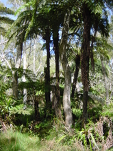 r&eacute;union.nov 2008.50.jpg