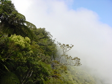 r&eacute;union.nov 2008.61.jpg