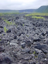 r&eacute;union.nov 2008.62.jpg