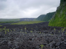 r&eacute;union.nov 2008.64.jpg