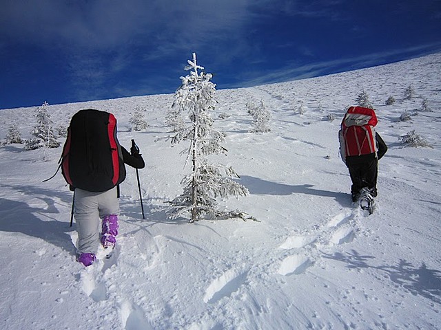 Neige profonde, on en ch...