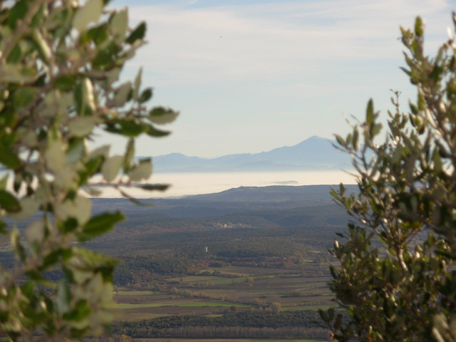 Au loin l'imposant Ventoux