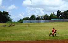 Iten, Elgeyo Marakwet County, stade d'Iten, Elgeyo Marakwet County - stade d'entrainement des marathoniens kenyans
