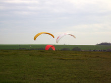 Tristan (orange), Xavier (Gin blanche et rouge) et Thierry (rouge)