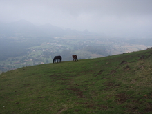 Le decollage ... occupe - Malinalco