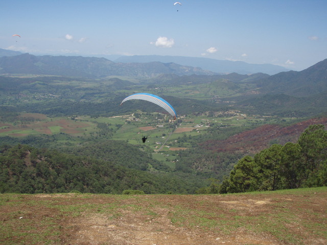 1er vol de Paco apres pres de 3 mois d'arret...