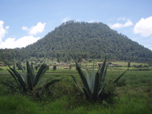 Cerro Gordo