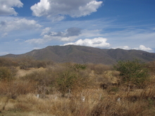 Iguala, vue du deco