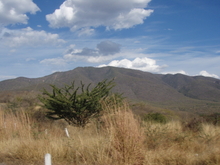 Iguala, vue du deco