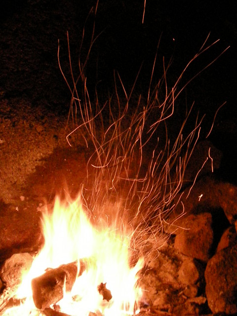 feu de bois