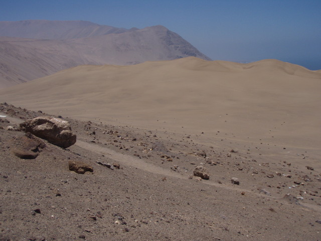 Mon objectif : reprendre vol et traverser au moins les dunes...L'espoir fait vivre !