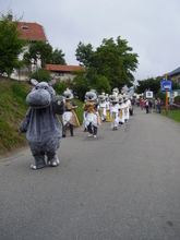 Les hippopotames arrivent en jouant des percussions